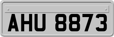 AHU8873