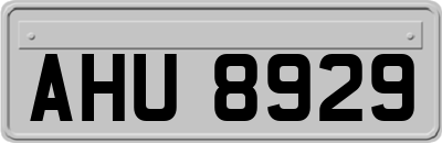 AHU8929