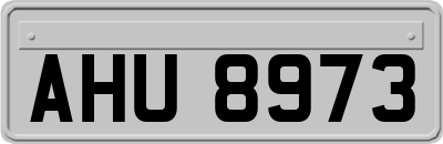 AHU8973