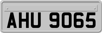 AHU9065