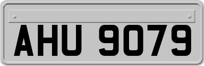 AHU9079
