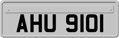 AHU9101