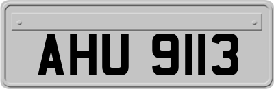 AHU9113