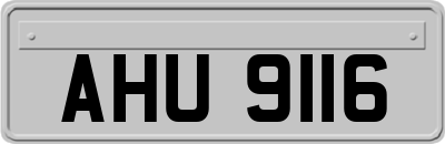 AHU9116