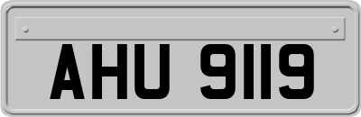 AHU9119