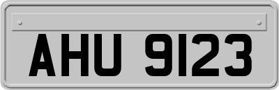 AHU9123