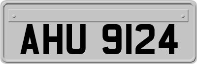 AHU9124