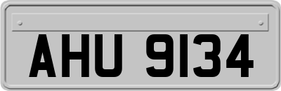 AHU9134