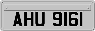 AHU9161