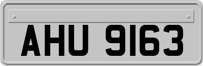 AHU9163