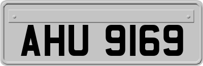 AHU9169