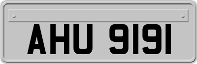 AHU9191