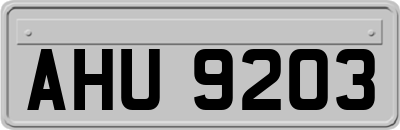 AHU9203