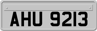 AHU9213