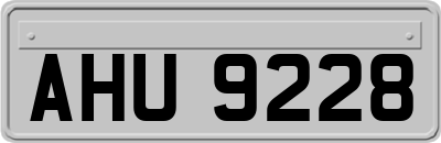 AHU9228