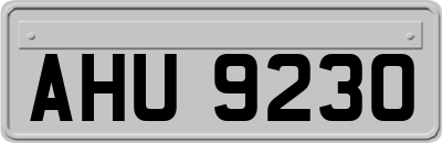 AHU9230