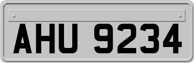 AHU9234