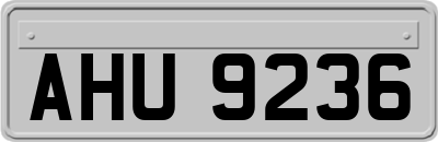 AHU9236