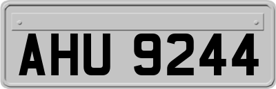 AHU9244