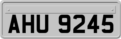 AHU9245