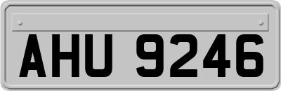 AHU9246