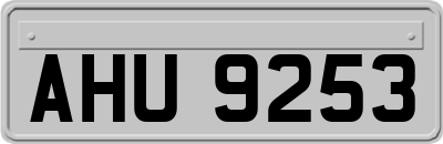 AHU9253