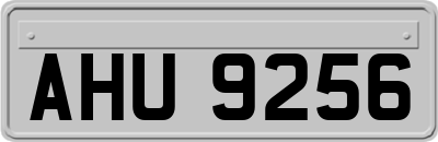 AHU9256