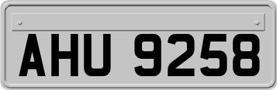 AHU9258