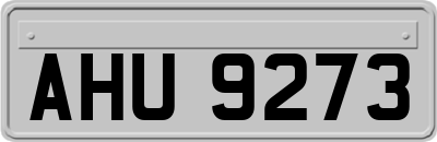 AHU9273