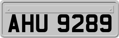 AHU9289
