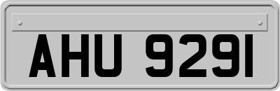 AHU9291