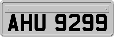 AHU9299