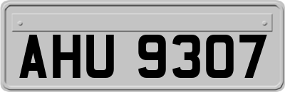 AHU9307