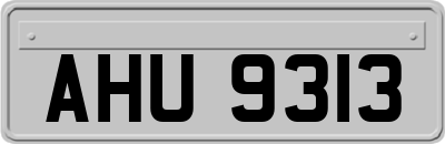 AHU9313