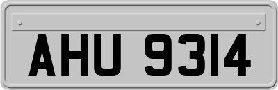AHU9314