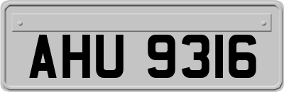 AHU9316