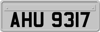 AHU9317
