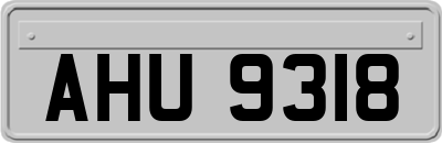 AHU9318