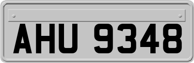 AHU9348