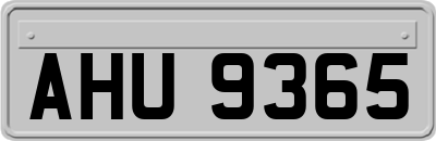 AHU9365