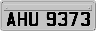 AHU9373