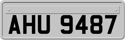 AHU9487