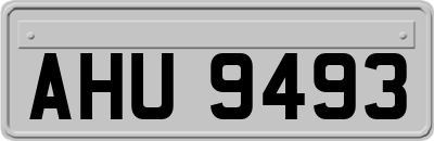 AHU9493