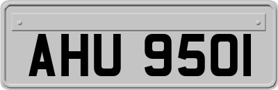 AHU9501