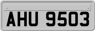 AHU9503