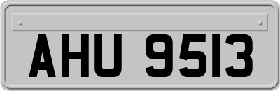 AHU9513