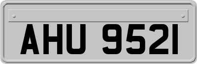 AHU9521