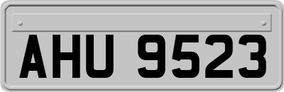 AHU9523
