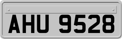 AHU9528