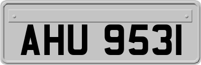 AHU9531